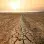 Drought 