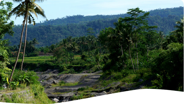 Ecosystem assessment