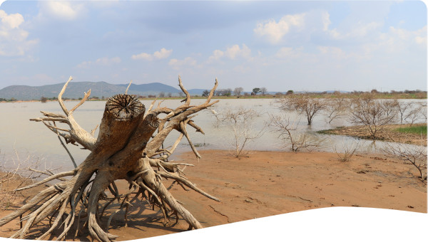 Water-Related Financial Disclosures
