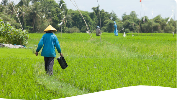 China: Eco-Compensation for Watershed Services
