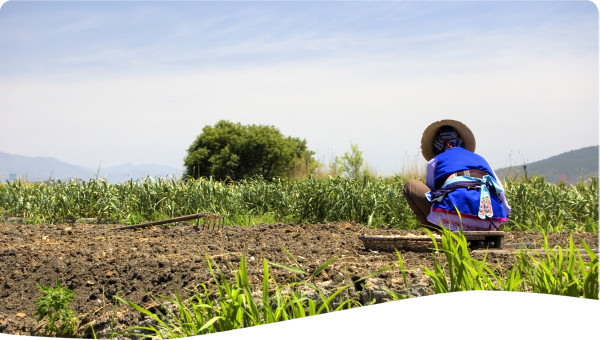 China: Wetland restoration through developing alternative sources of income for farmers in the Yangtze River Basin