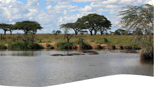 LAKE JIPE