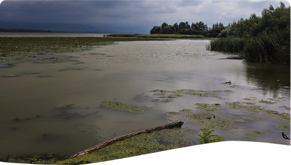 Romania: Strengthening of water users associations