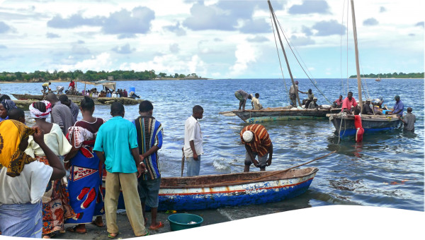 Tanzania: Pangani River Basin: Building consensus on water allocation and climate change adaptation