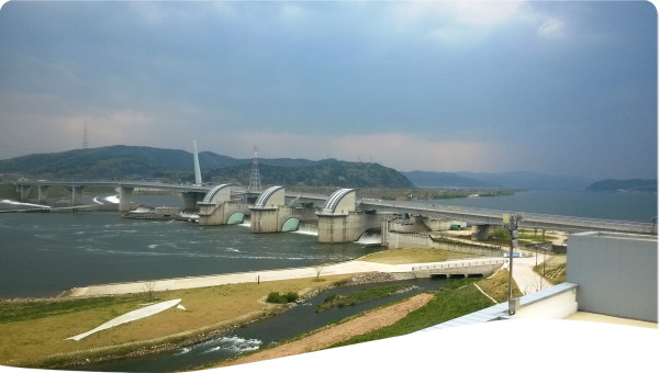 Transboundary: Basin Economic Allocation Model