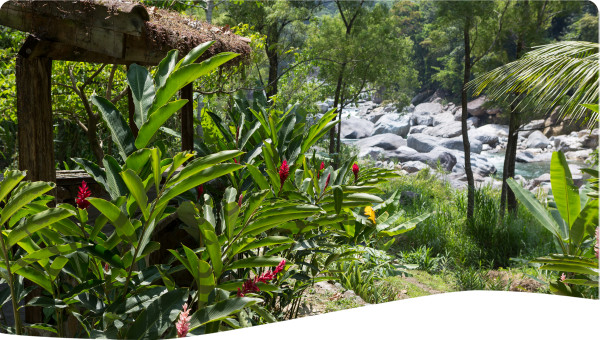 Transboundary: Opportunities and challenges for the shared management of Watersheds - the Trifinio Plan for the Upper Lempa