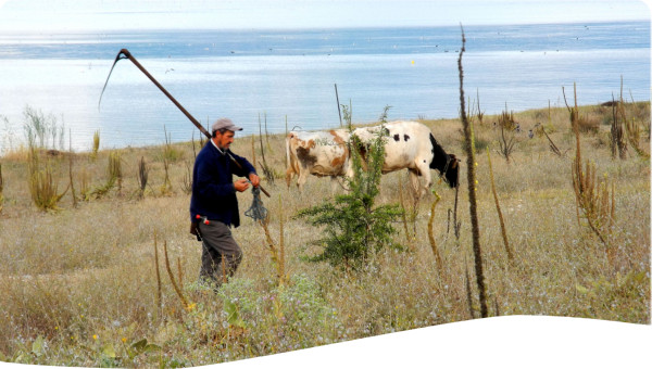 Transboundary: Prespa Basin National Park