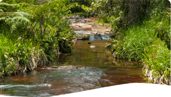 Venezuela: Participatory management of water resources in Tovar municipality