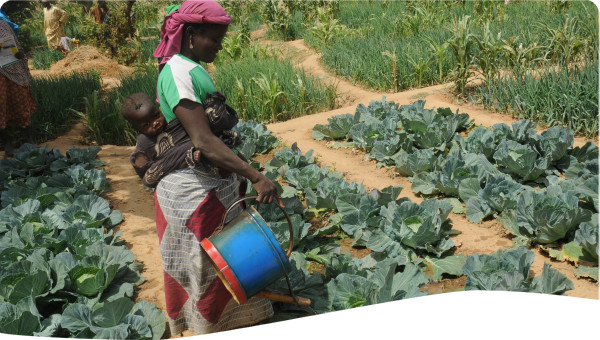Irrigation in Volta River Basin
