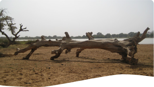 NAP development in Burkina Faso