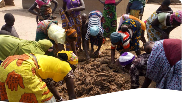 Benin pilot project