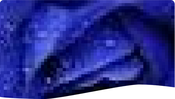 blue flower