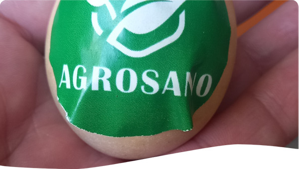 Logo AgroSano 