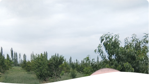 Emil Permaculture Azerbaijan