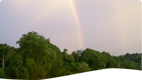 Image of rainbow, trees and river
