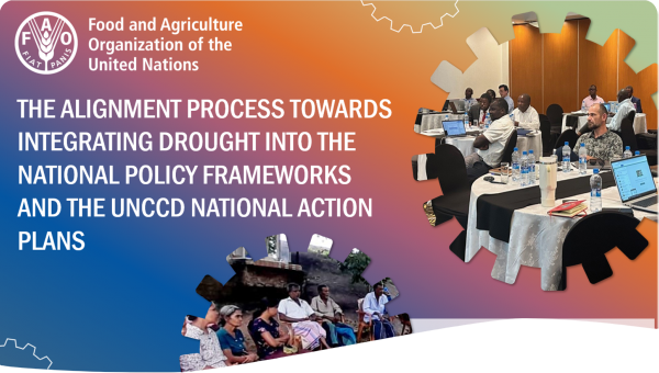 An approach to align national drought  plans to national frameworks