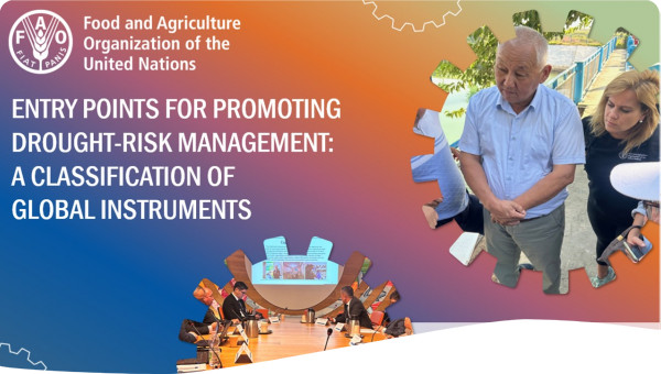 entry points for promoting drought-risk management: a classification of global instruments