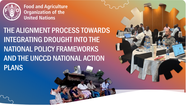 THE ALIGNMENT PROCESS TOWARDS INTEGRATING DROUGHT INTO THE NATIONAL POLICY FRAMEWORKS AND THE UNCCD NATIONAL ACTION PLANS