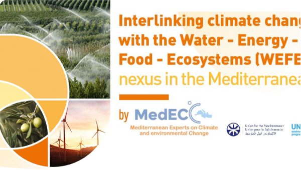 Climate-WEFE Nexus Report