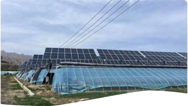 Rainwater harvesting photovoltaic plant production system