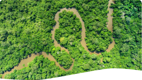Meandering jungle river in the rainforest of the Congo Basin