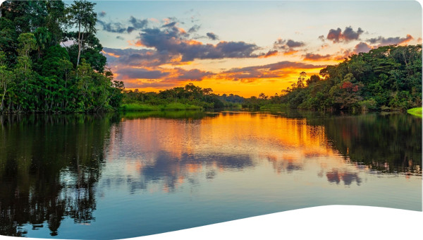 Sunset in the Amazon Rainforest River Basin