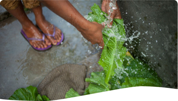 Washing vegetables