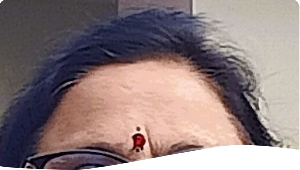 Development Professional