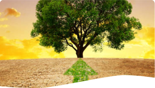 The road ahead. Fighting desertification.