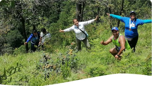 Programa de resturación forestal