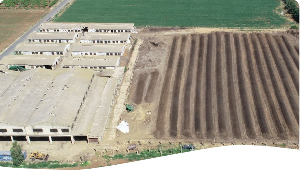 Company Headquarters