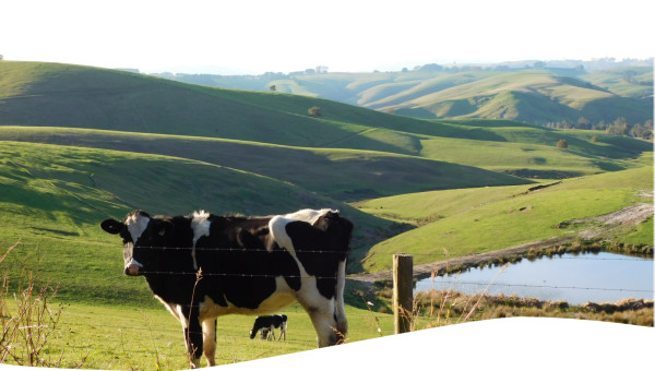 The well watered hills of Gippsland