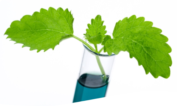 Protégeons notre environnement