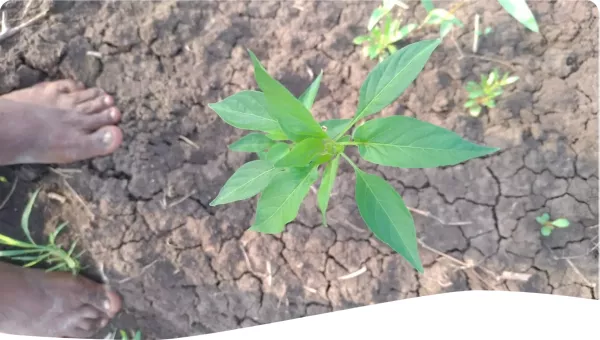 Photo by BANDGAR RISHIKESH