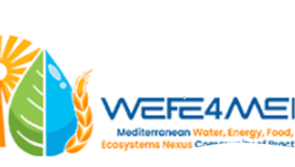 WEFE4MED Policy Brief 2